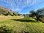 Immagine 11
