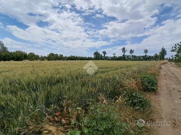 TER. AGRICOLO A VILLA LITERNO