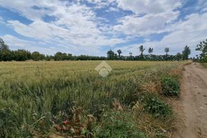 TER. AGRICOLO A VILLA LITERNO