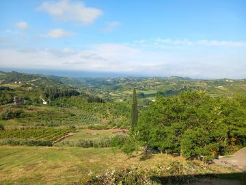 Terreno agricolo Montiano