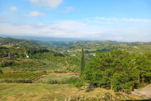 Terreno agricolo Montiano