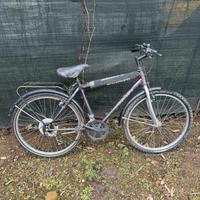 Bicicletta