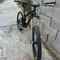 Bici enduro specialized