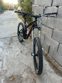 Bici enduro specialized