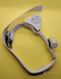 collare/guinzaglio per cani