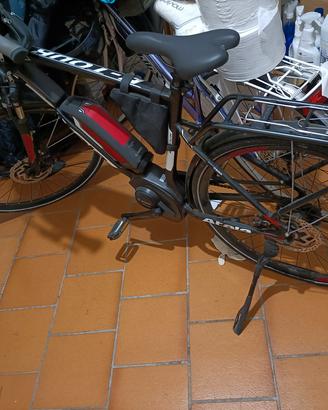bicicletta elettrica con pedalata assistita 
