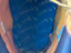 Immagine 5