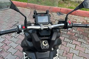 Vendita brera x 300 anno 2024