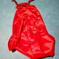 Vestito Diavoletto Rosso carnevale