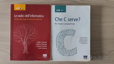 Le radici dell'informatica e che C serv3?