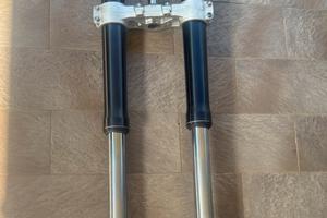 Forcelle husqvarna sm 125