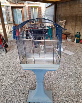 Coniglio uccelli