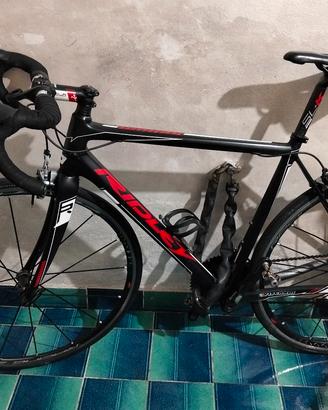 bicicletta da corsa professionale