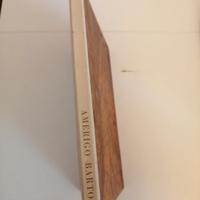 Libro ROMA IN SELCI CON 30 DISEGNI AMERIGO BARTOLI