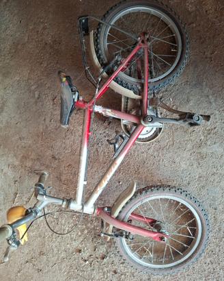 Bicicletta