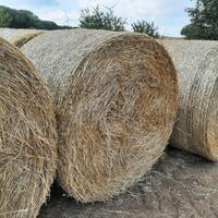 Paglia in rotolo
