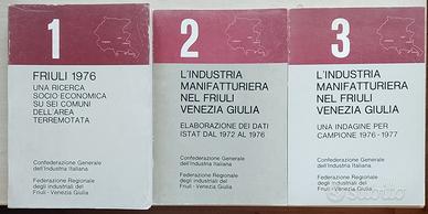 Friuli 1976: indagine socio-economica