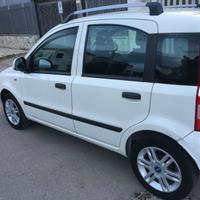 fiat  panda