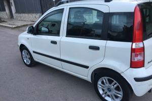 fiat  panda