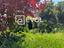 Immagine 24