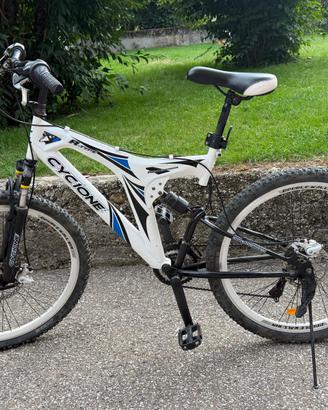 Bicicletta