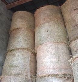 Balloni di secondo taglio erba medica