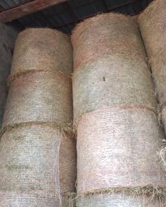 Balloni di secondo taglio erba medica