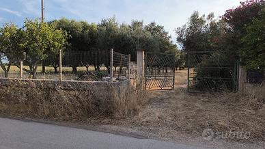 Terreno agricolo c.da Eredita' Villa Castelli