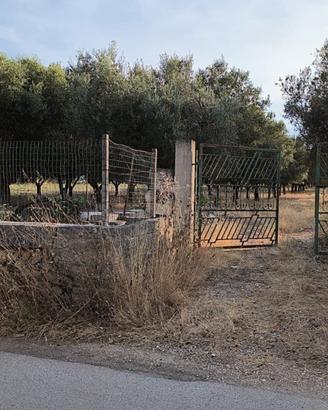 Terreno agricolo c.da Eredita' Villa Castelli