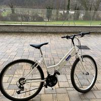 Bicicletta Colore Bianco