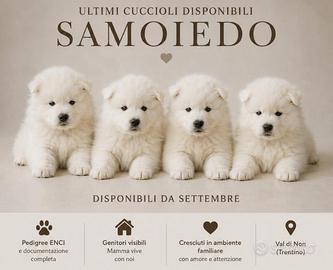 Samoiedo