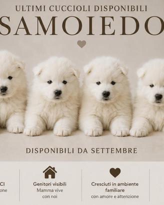 Samoiedo