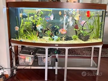 Acquario completo di tutto