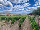 terreno-agricolo-barile-cod-rif-3269246vcg-