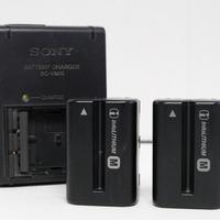Caricabatterie Sony BC-VM10 + 2 Batterie NP-FM500H
