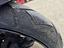 Immagine 16