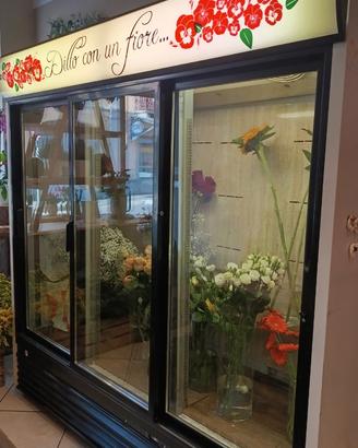Vetrina frigo per negozio