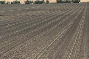 Podere di 7 ettari irrigui