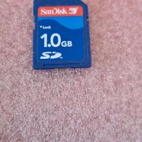 4285-Memoria SD 1GB