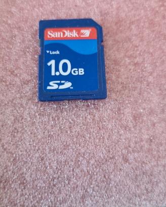 4285-Memoria SD 1GB
