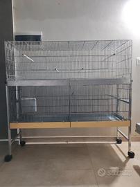 gabbie da 120 perfette 