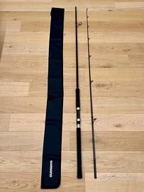 Shimano Salty Advance Shore Jigging S100H