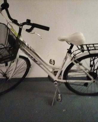 Biciclette da passeggio 
