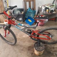 Bici MTB da 24