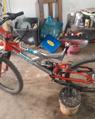 Bici MTB da 24