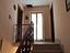 Immagine 7