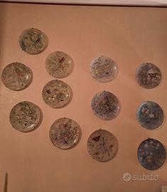 Collezione  piatti in porcellana fine  Wedgwood