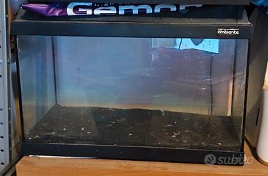 acquario 60 litri