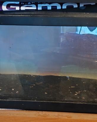 acquario 60 litri