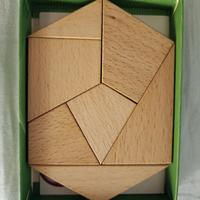 giochi di intelligenza in legno 